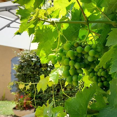 Hotel Des Vignes Julienas ภายนอก รูปภาพ