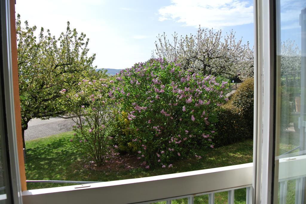 Hotel Des Vignes Julienas ภายนอก รูปภาพ