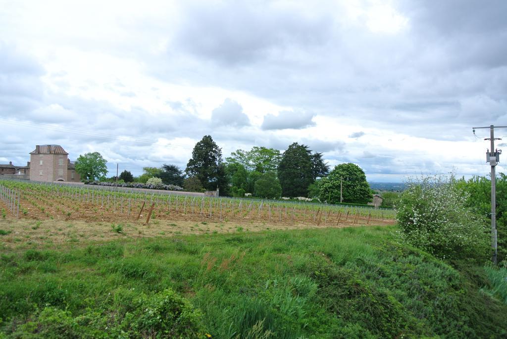 Hotel Des Vignes Julienas ภายนอก รูปภาพ