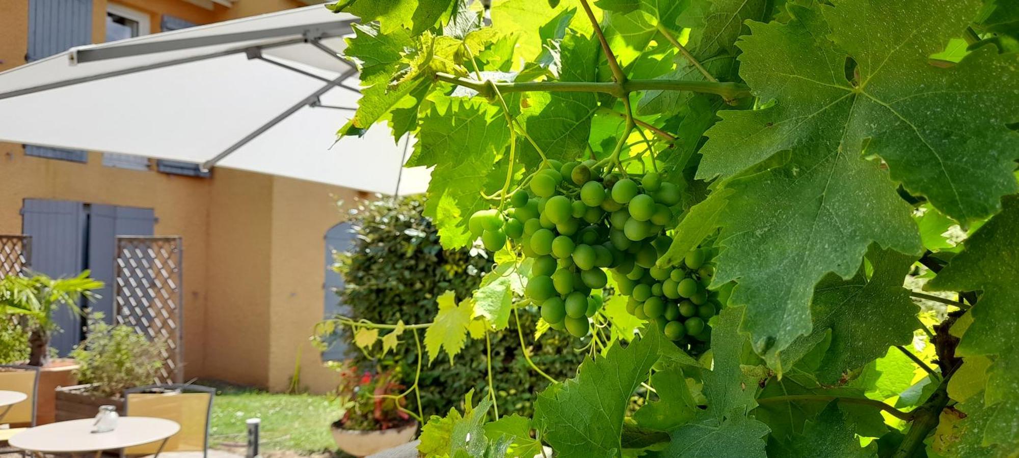 Hotel Des Vignes Julienas ภายนอก รูปภาพ